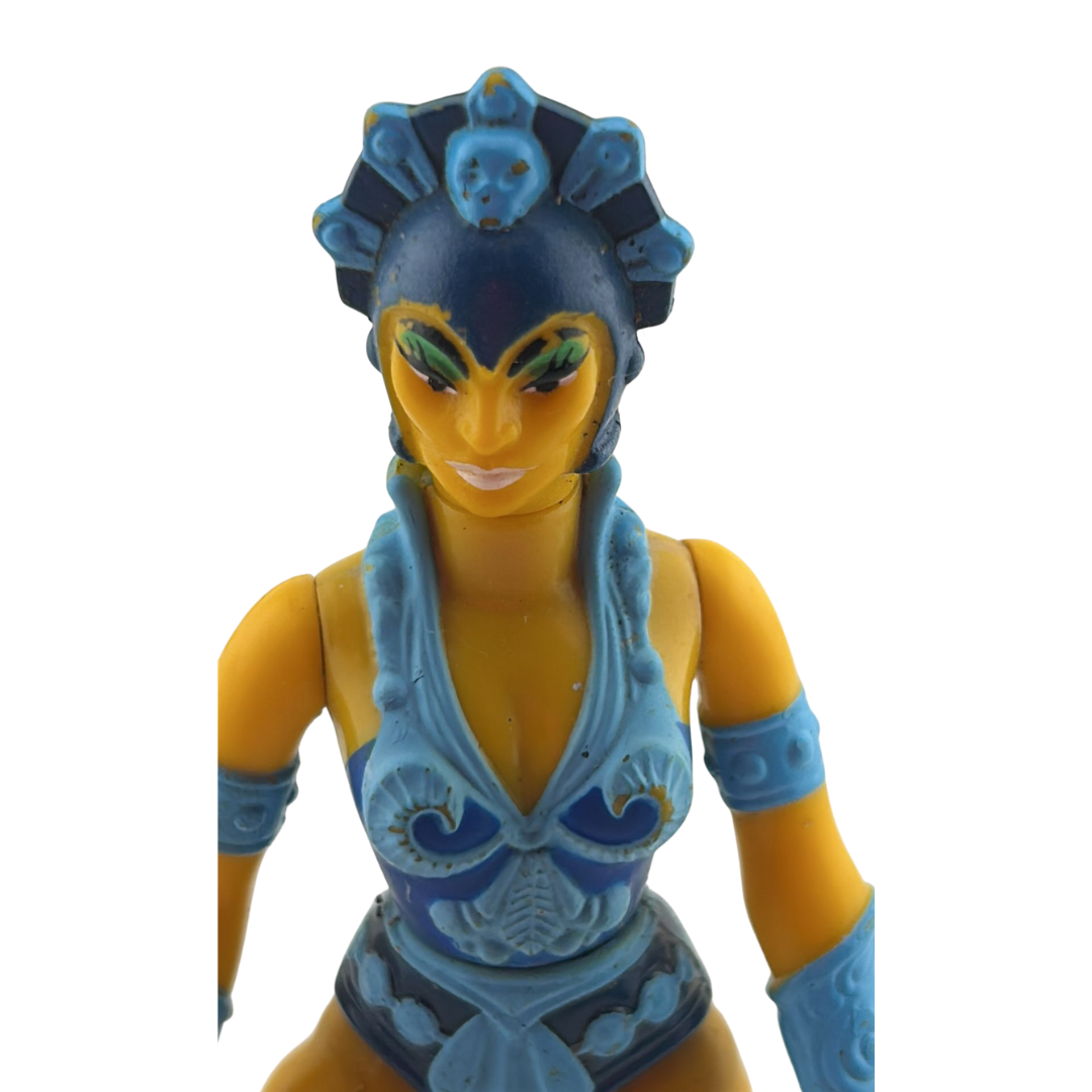 He-Man Evil Lyn figure Masters of the Universe not complete 18