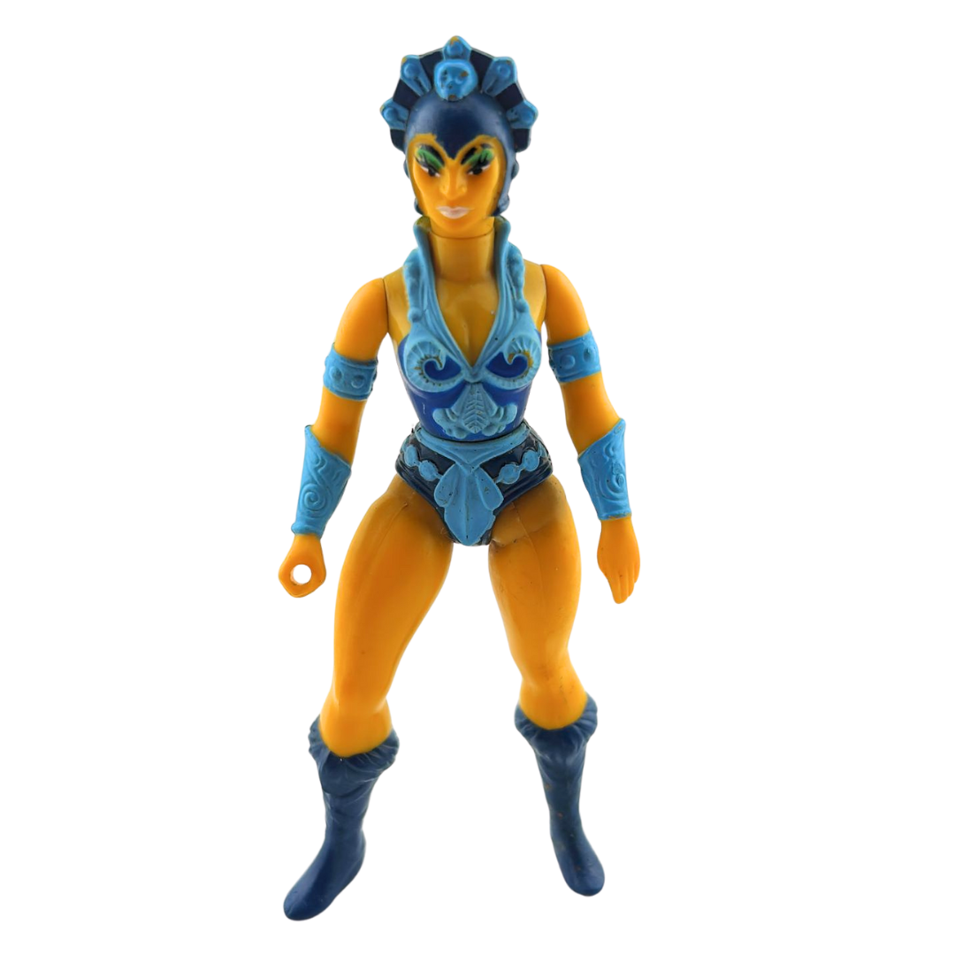 He-Man Evil Lyn figure Masters of the Universe not complete 18