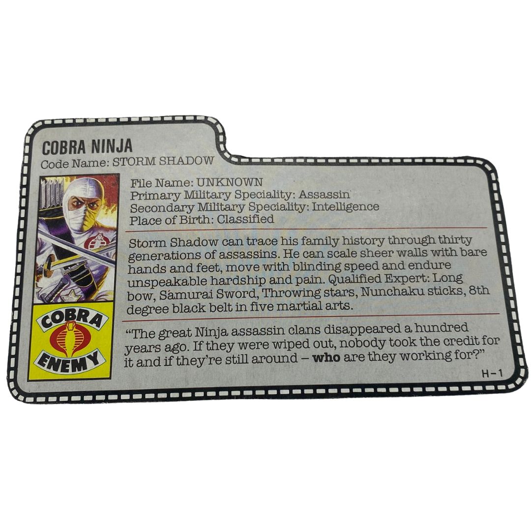 GI Joe, Action Force Storm Shadow filecard 493A