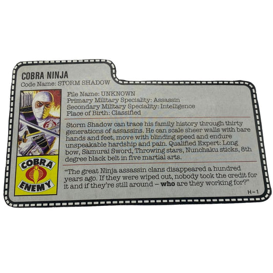 GI Joe, Action Force Storm Shadow filecard 493A