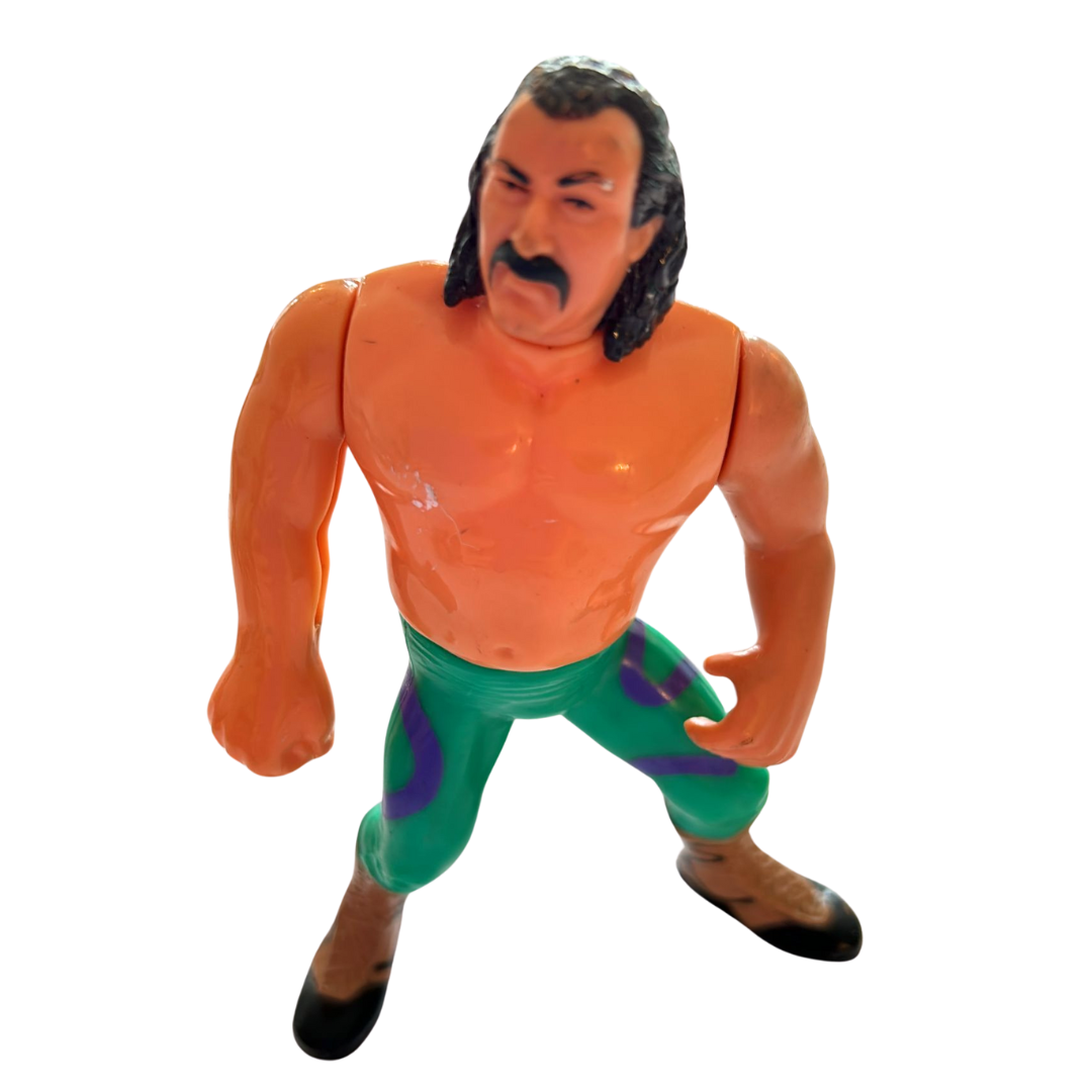 WWF Jake The Snake Roberts Complete Hasbro WWE Wrestling Series 1 working action