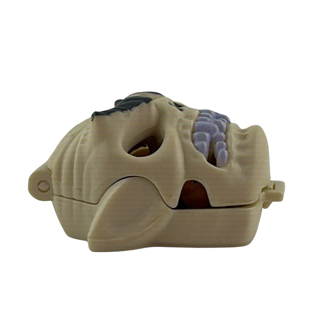 Mighty Max Skull Master Shrunken Head complete with Max figure 886