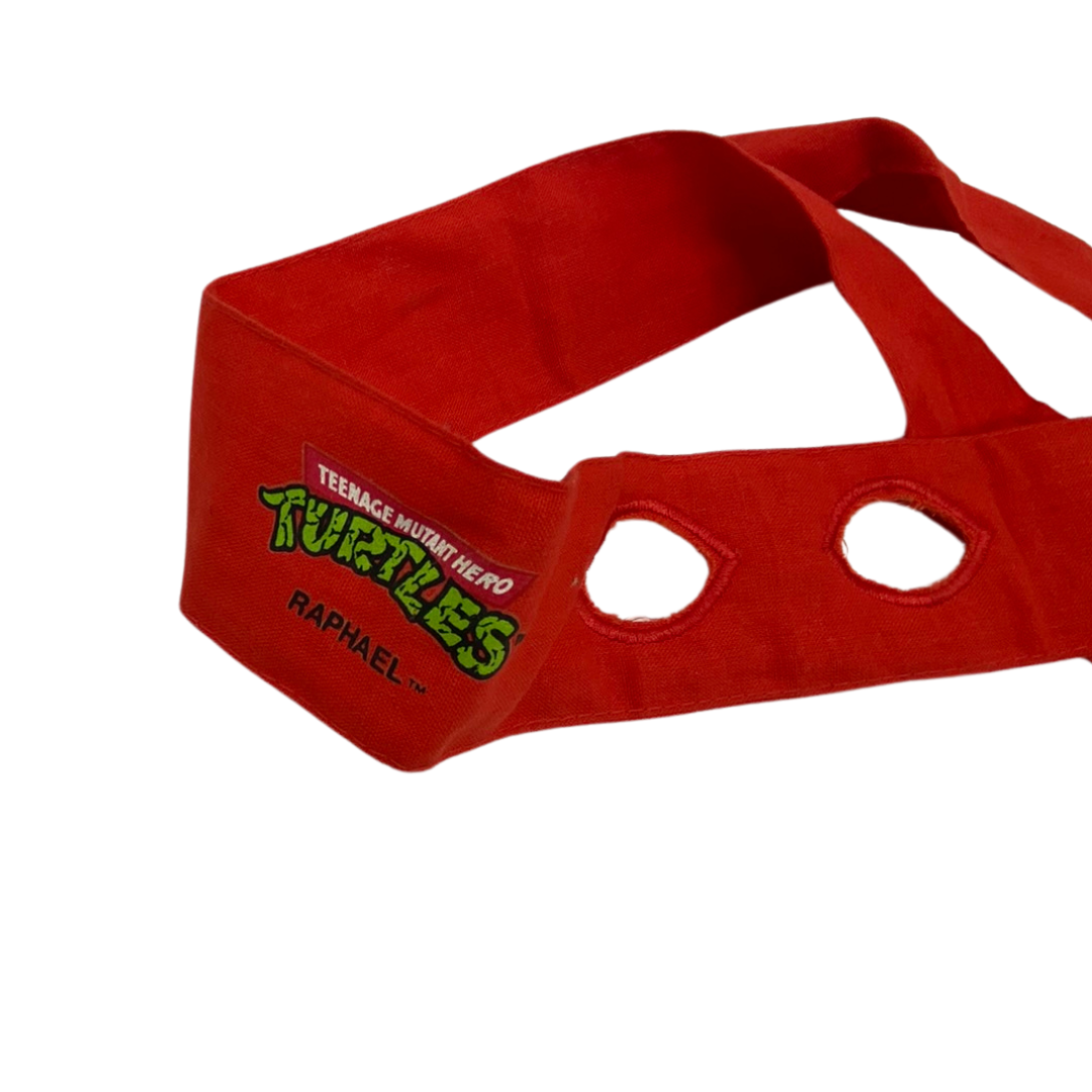 Teenage Mutant Ninja Turtles Raphael fancy dress shell & mask