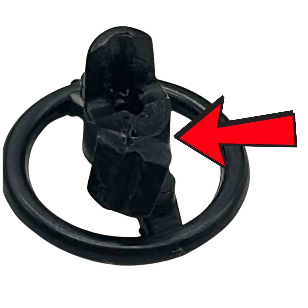 Gi Joe, Action Force Tigercat complete with Frostbite Tiger Cat Tiger Force 470